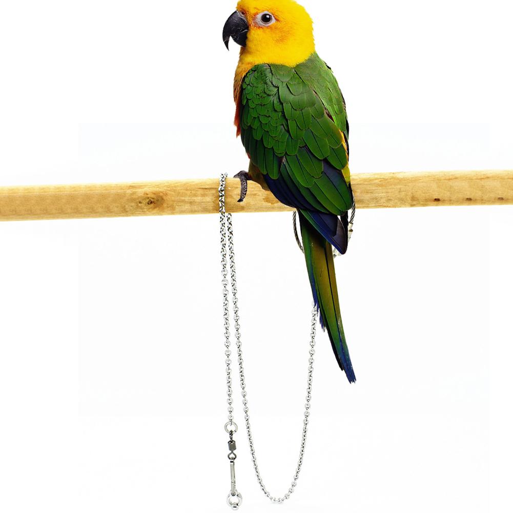 Stainless Steel Parrot Foot Ring Stand Open Buckle Anklet Chain For Pigeons Cockatiels Tiger Skin Starlings Peony Birds - 3