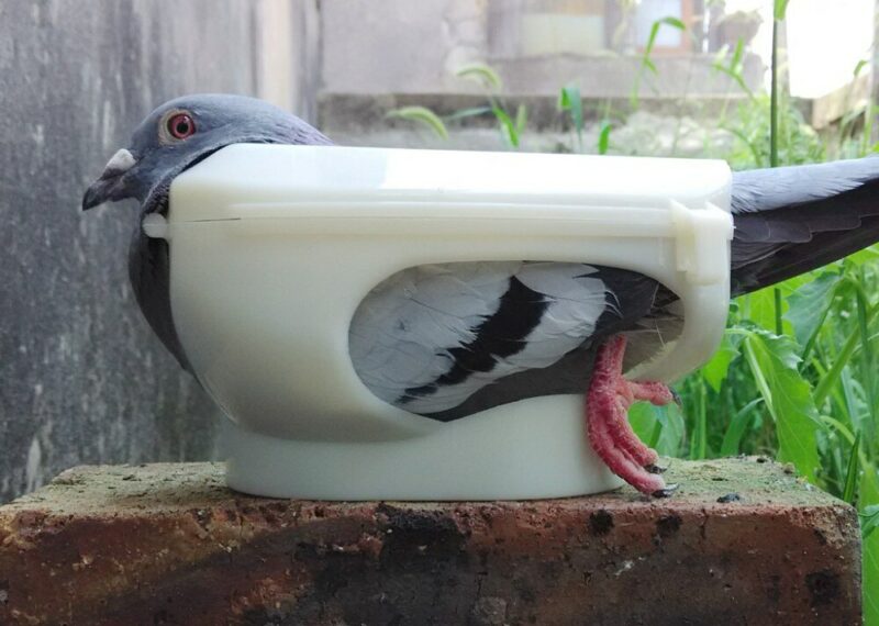 Durable Racing Pigeon Support Mounted Injection Easy Bird Door Wx827