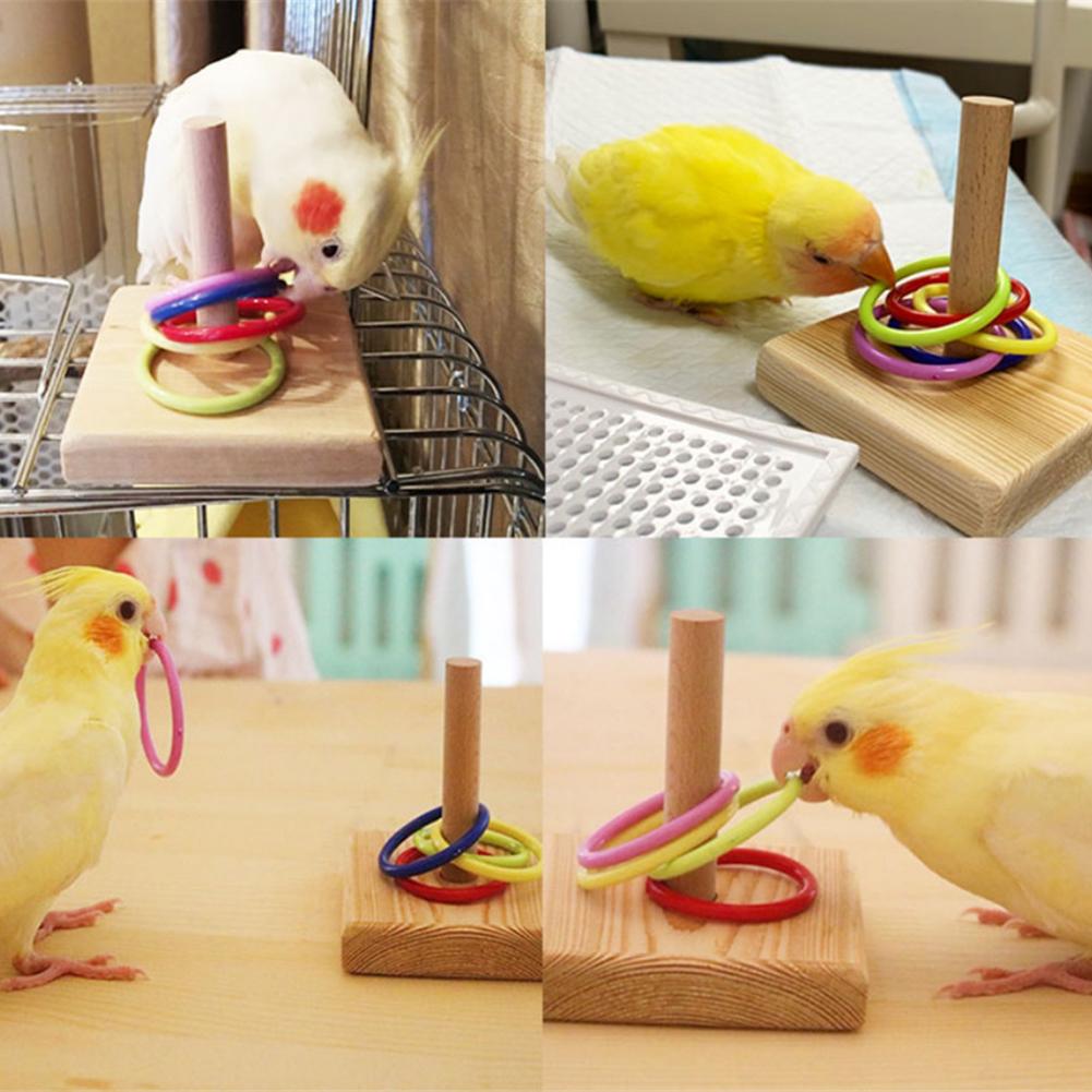 Interactive Parrot Chew Toy Wooden Platform Plastic Ring For Training Education Bird Intelligence Development - 9