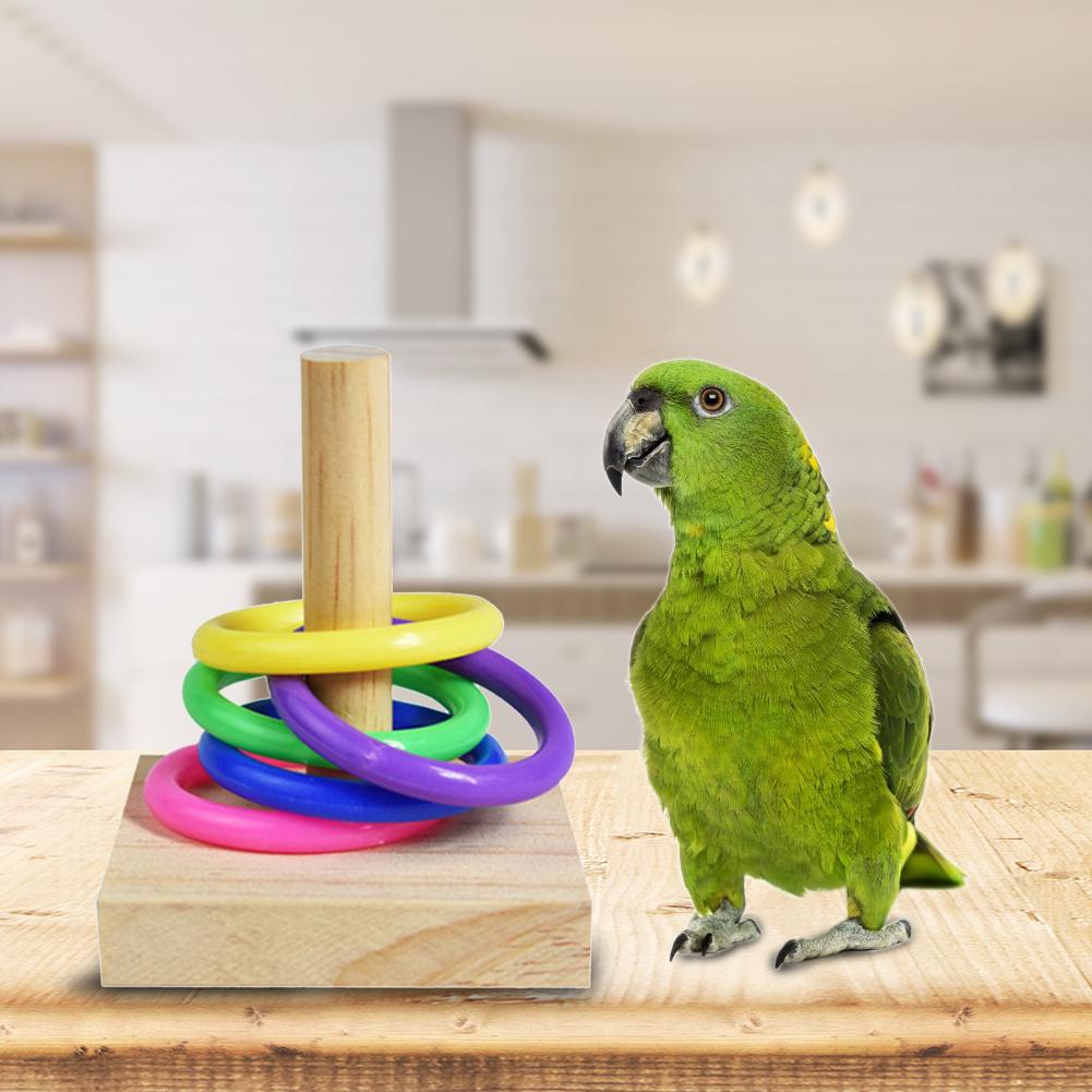 Interactive Parrot Chew Toy Wooden Platform Plastic Ring For Training Education Bird Intelligence Development - 8