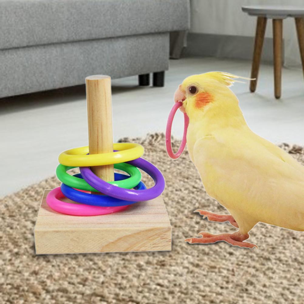 Interactive Parrot Chew Toy Wooden Platform Plastic Ring For Training Education Bird Intelligence Development - 7