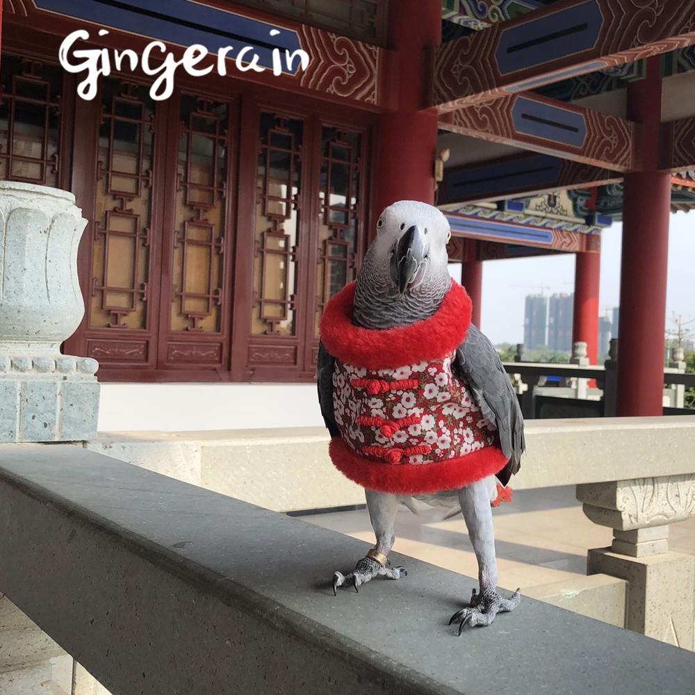 Handmade Custom Hooded Sweater For Parrots Gingerain Bird Clothes With Red Sleeves Original Design - 6