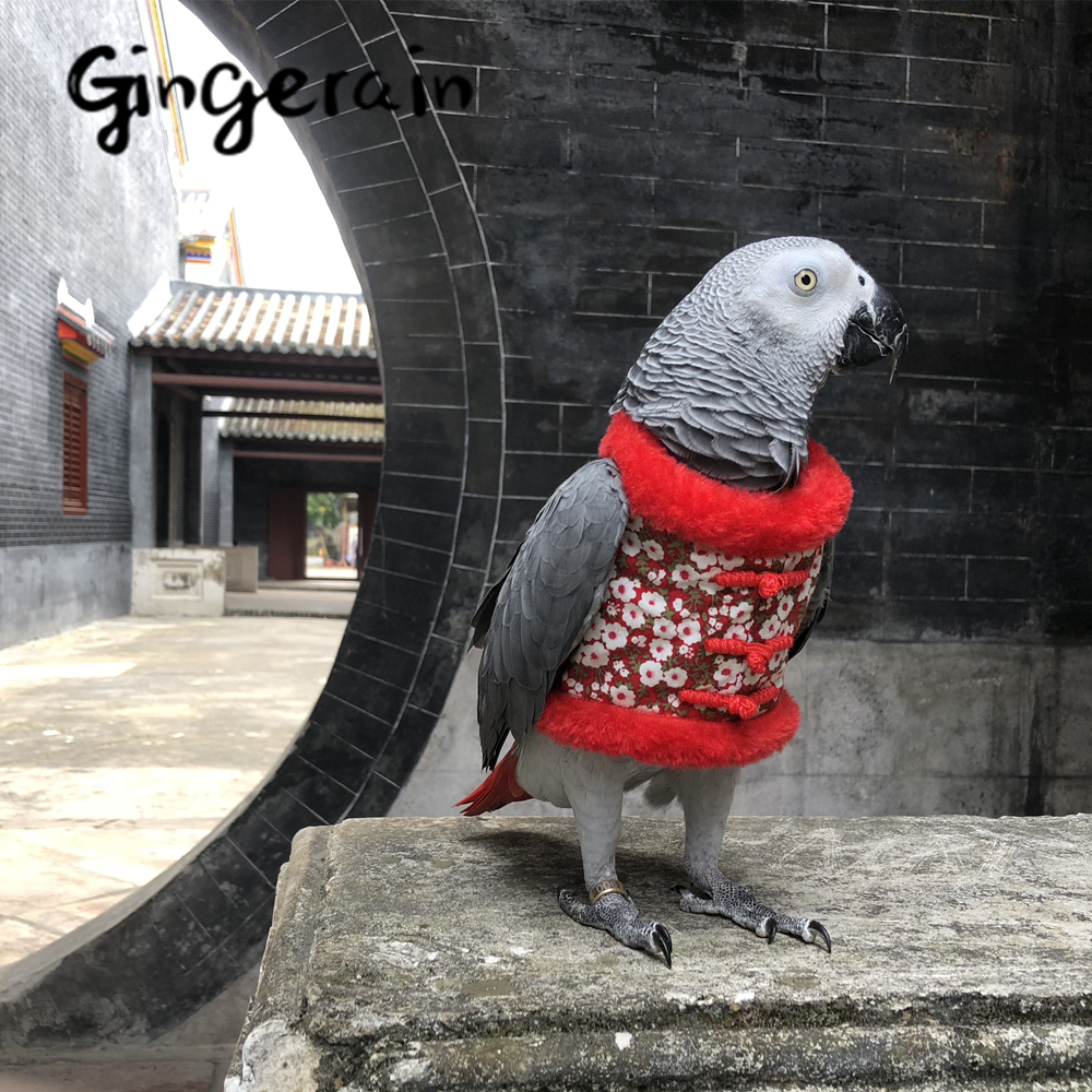 Handmade Custom Hooded Sweater For Parrots Gingerain Bird Clothes With Red Sleeves Original Design - 5