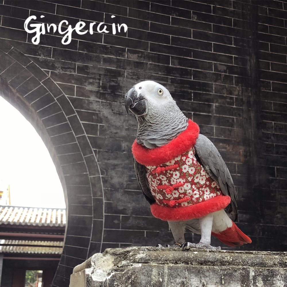 Handmade Custom Hooded Sweater For Parrots Gingerain Bird Clothes With Red Sleeves Original Design - 4