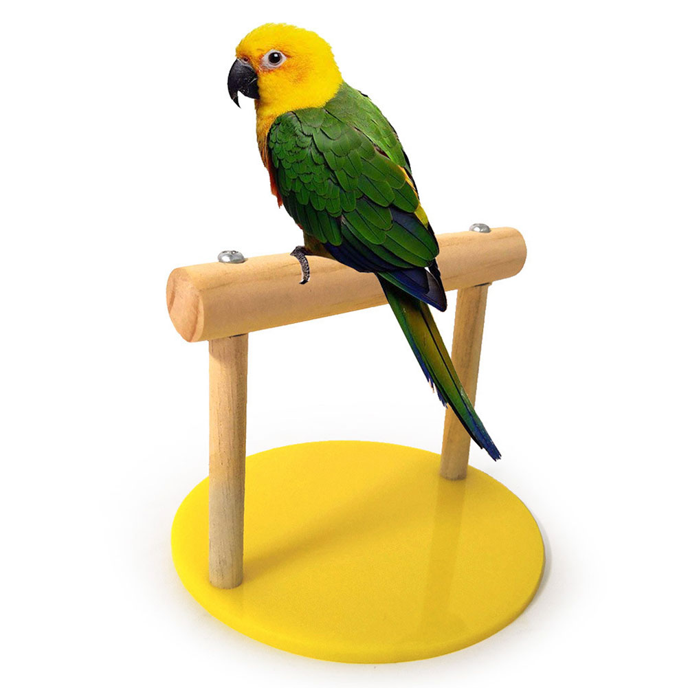 Portable Wooden Training Stand For Pet Birds Parrot Paw Grinding Perch Hamster Branch Toy - 2