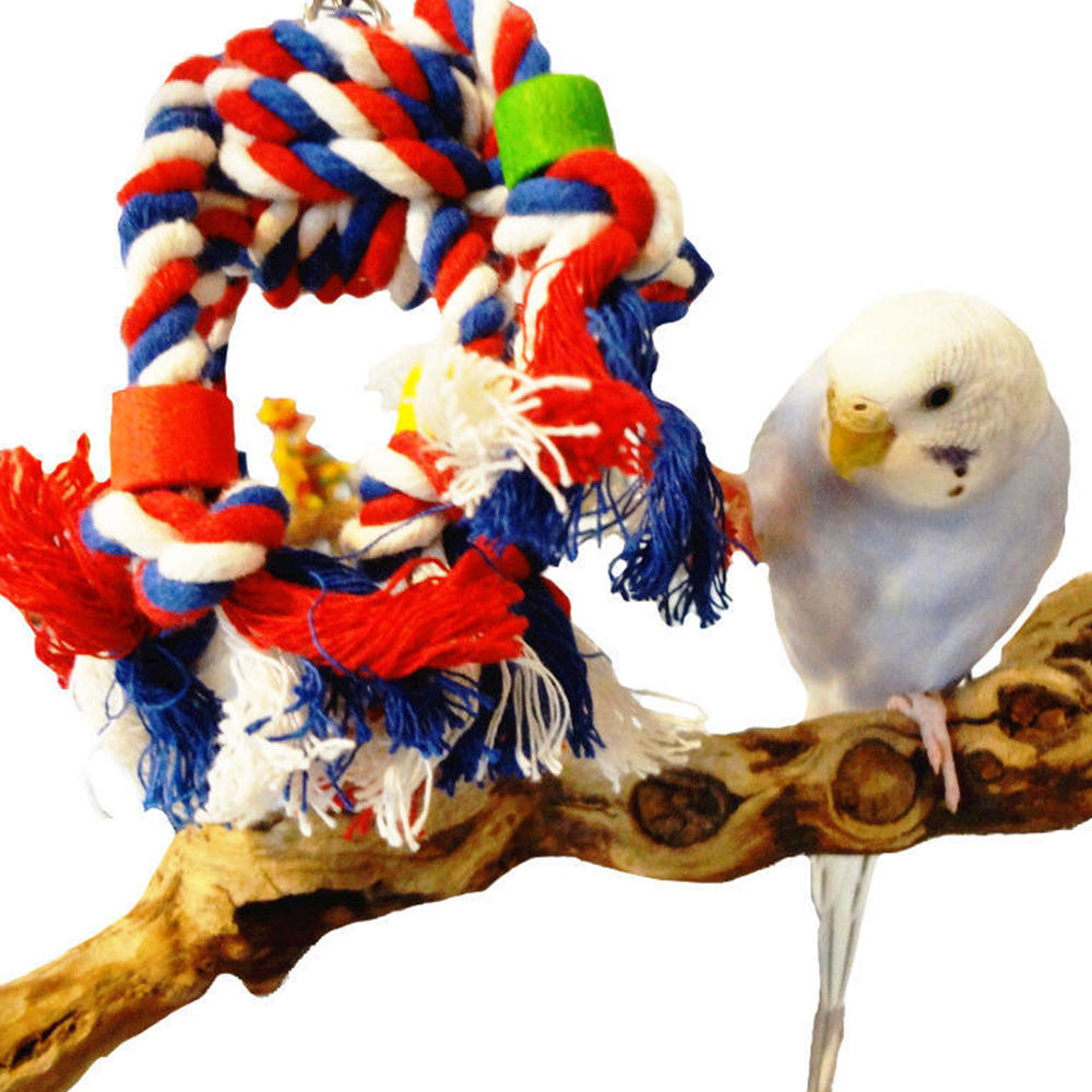 Durable Parrot Cage Toys Fun Chew Toy Parakeet Cockatiel Stand Training Accessories For Pet Birds - 6