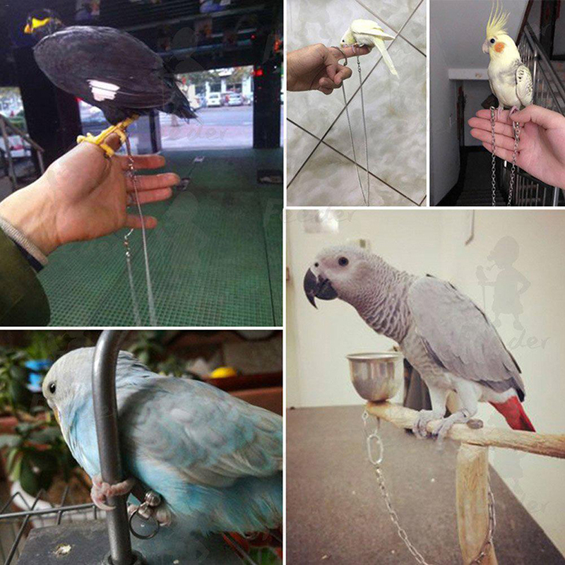 Quality Antibite Parrot Bird Cage Safe And Durable Perfect For Pet Birds Easy To Clean - 1