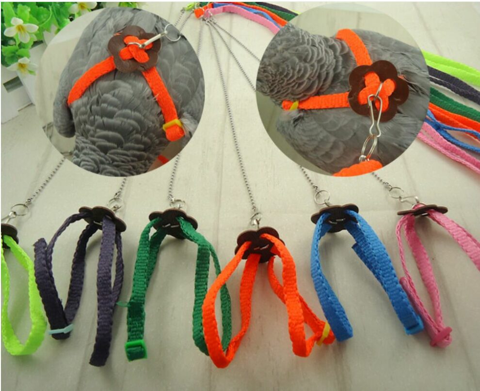 Adjustable Parrot Harness Leash Perfect For African Greys Budgies Playtime