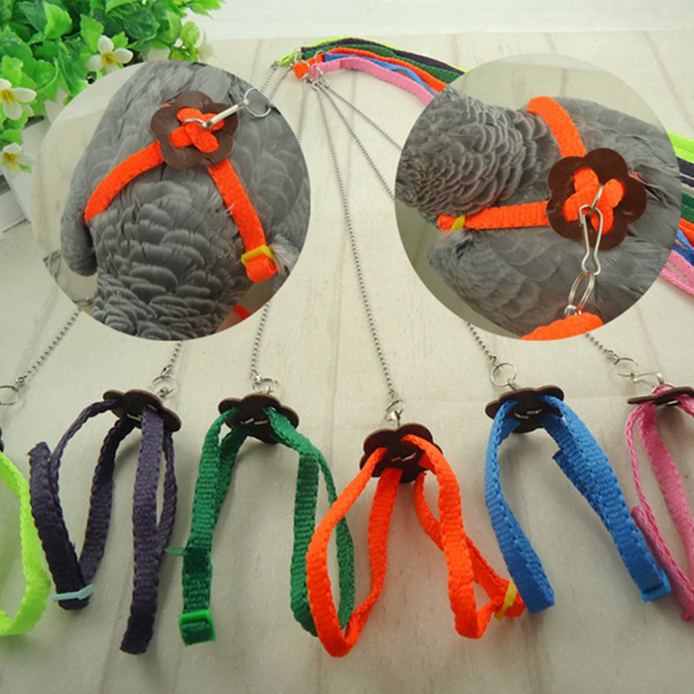 Adjustable Parrot Bird Harness Leash Antibite Comfortable Soft Training Rope For Outdoor Flying - 1