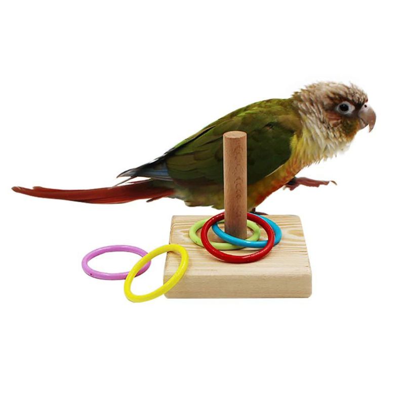 Interactive Parrot Training Toy Chewable Wooden Platform With Plastic Rings For Bird Brain Exercise - 1