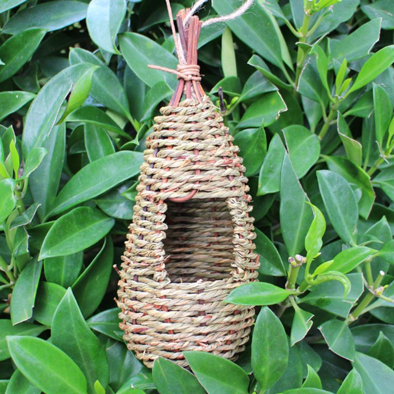 Outdoor Hanging Bird House Cage Natural Handcrafted Finch Nest Hut For Garden Decoration - 6