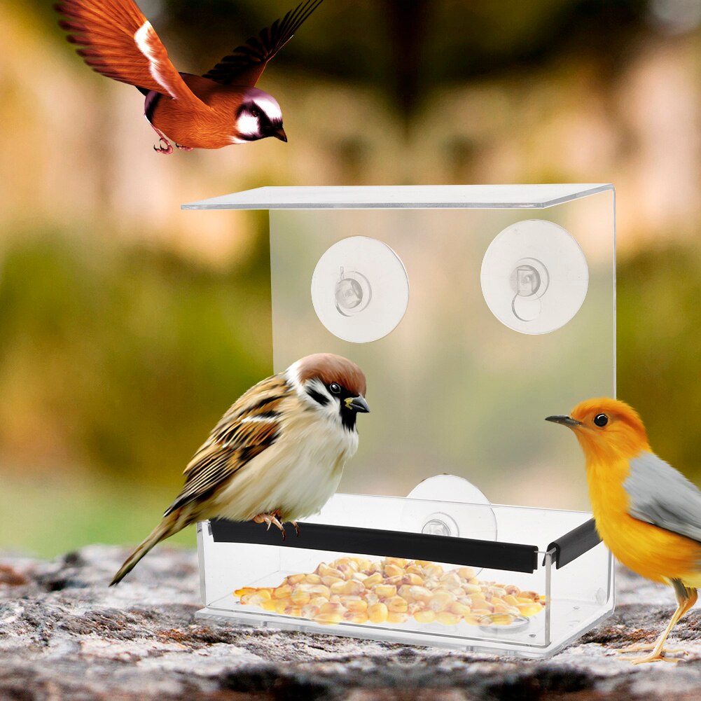 Transparent Acrylic Window Bird Feeder Squirrelproof Houseshaped Adsorption Mechanism Ideal For Birdwatching Durable Material - 10