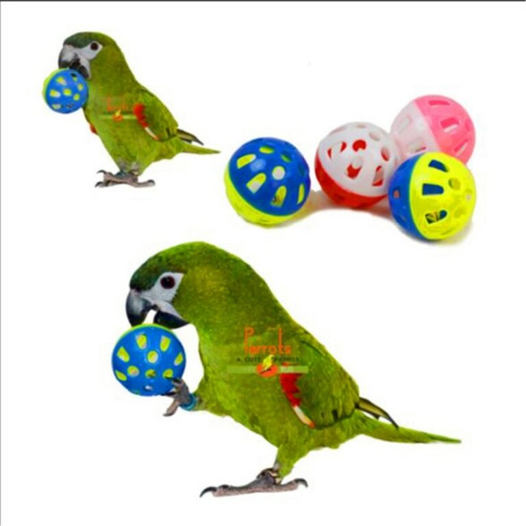Durable Cage For Pet Parrot And Bird Easy Cleaning Free Shipping Worldwide